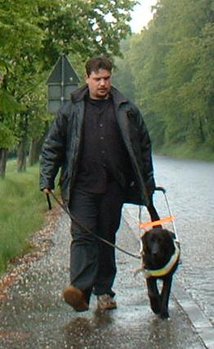 Training der Führarbeit